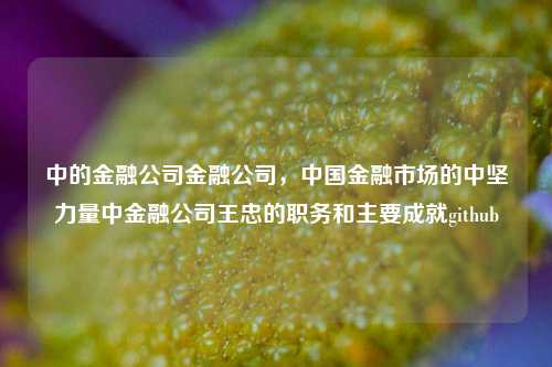 中的金融公司金融公司，中国金融市场的中坚力量中金融公司王忠的职务和主要成就github