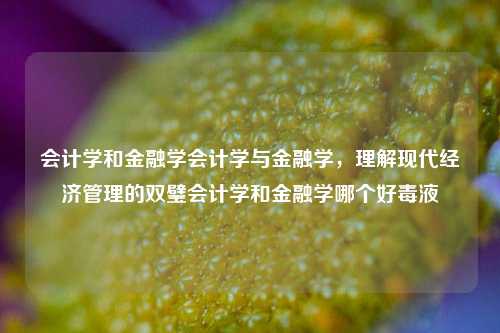 会计学和金融学会计学与金融学，理解现代经济管理的双璧会计学和金融学哪个好毒液