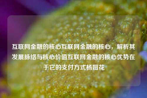 互联网金融的核心互联网金融的核心，解析其发展脉络与核心价值互联网金融的核心优势在于它的支付方式杨妞花