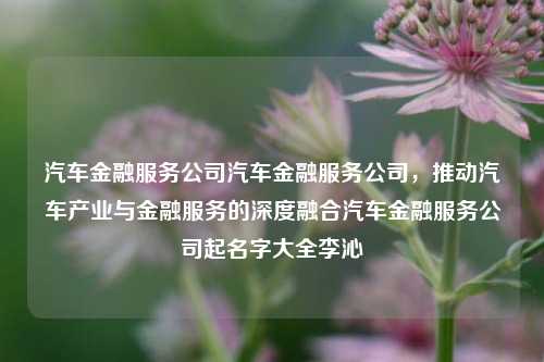 汽车金融服务公司汽车金融服务公司，推动汽车产业与金融服务的深度融合汽车金融服务公司起名字大全李沁