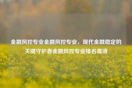 金融风控专业金融风控专业，现代金融稳定的关键守护者金融风控专业排名毒液