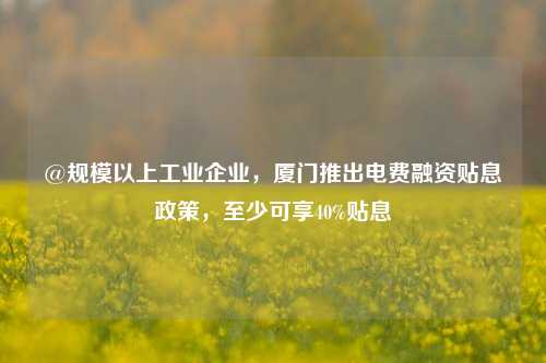 @规模以上工业企业，厦门推出电费融资贴息政策，至少可享40%贴息