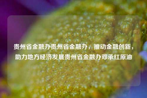 贵州省金融办贵州省金融办，推动金融创新，助力地方经济发展贵州省金融办邓承红原油