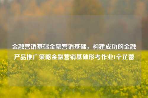 金融营销基础金融营销基础，构建成功的金融产品推广策略金融营销基础形考作业1辛芷蕾