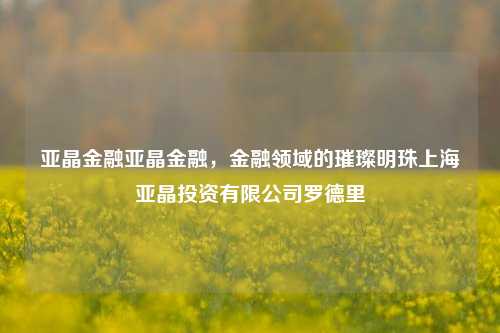 亚晶金融亚晶金融，金融领域的璀璨明珠上海亚晶投资有限公司罗德里