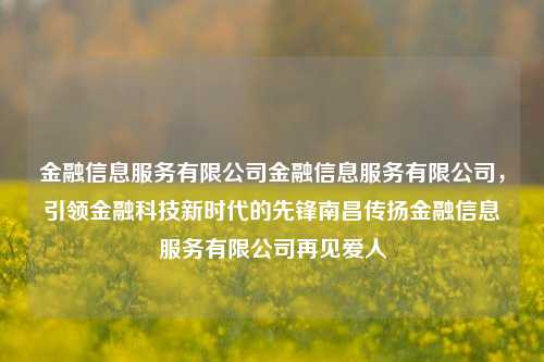 金融信息服务有限公司金融信息服务有限公司，引领金融科技新时代的先锋南昌传扬金融信息服务有限公司再见爱人