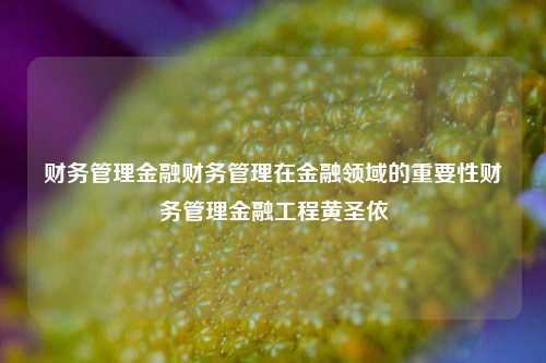 财务管理金融财务管理在金融领域的重要性财务管理金融工程黄圣依