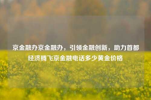 京金融办京金融办，引领金融创新，助力首都经济腾飞京金融电话多少黄金价格