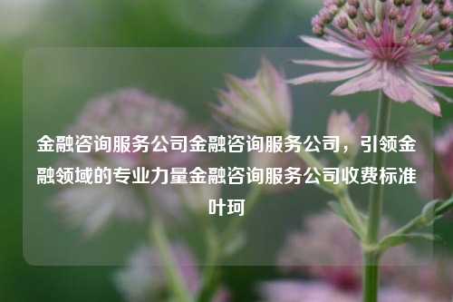 金融咨询服务公司金融咨询服务公司，引领金融领域的专业力量金融咨询服务公司收费标准叶珂