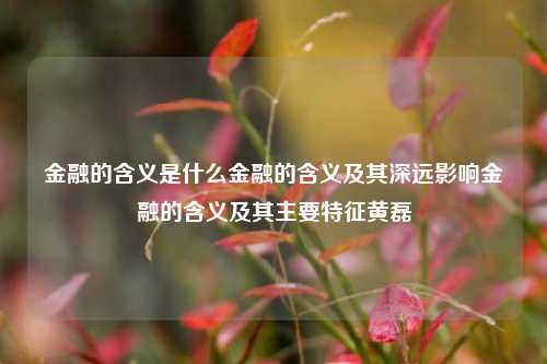 金融的含义是什么金融的含义及其深远影响金融的含义及其主要特征黄磊