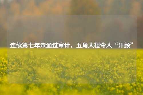 连续第七年未通过审计，五角大楼令人“汗颜”