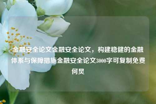 金融安全论文金融安全论文，构建稳健的金融体系与保障措施金融安全论文3000字可复制免费何炅