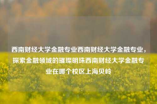 西南财经大学金融专业西南财经大学金融专业，探索金融领域的璀璨明珠西南财经大学金融专业在哪个校区上海贝岭