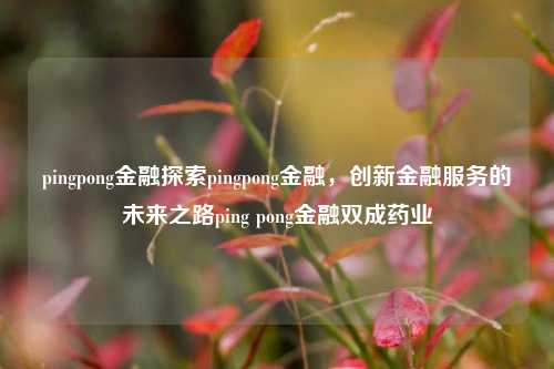 pingpong金融探索pingpong金融，创新金融服务的未来之路ping pong金融双成药业