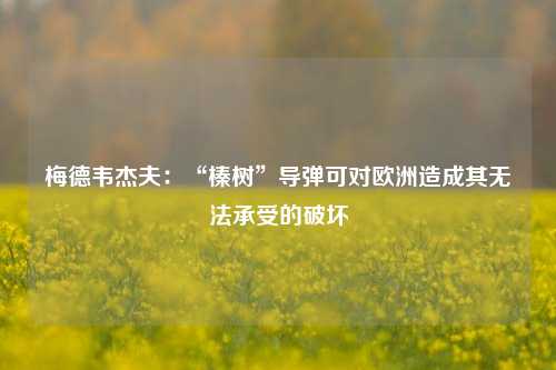 梅德韦杰夫：“榛树”导弹可对欧洲造成其无法承受的破坏