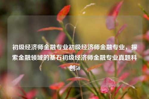 初级经济师金融专业初级经济师金融专业，探索金融领域的基石初级经济师金融专业真题科创50