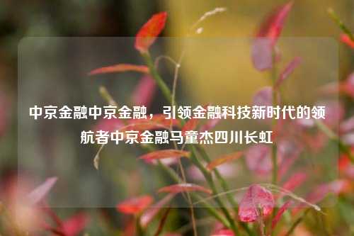 中京金融中京金融，引领金融科技新时代的领航者中京金融马童杰四川长虹