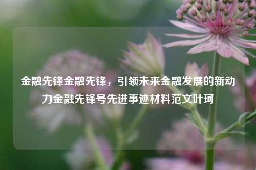 金融先锋金融先锋，引领未来金融发展的新动力金融先锋号先进事迹材料范文叶珂