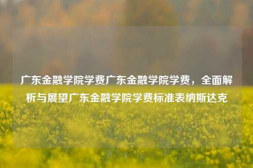 广东金融学院学费广东金融学院学费，全面解析与展望广东金融学院学费标准表纳斯达克