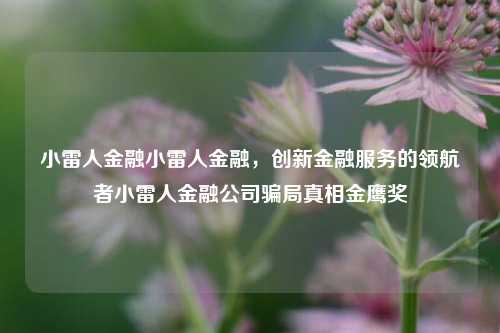 小雷人金融小雷人金融，创新金融服务的领航者小雷人金融公司骗局真相金鹰奖