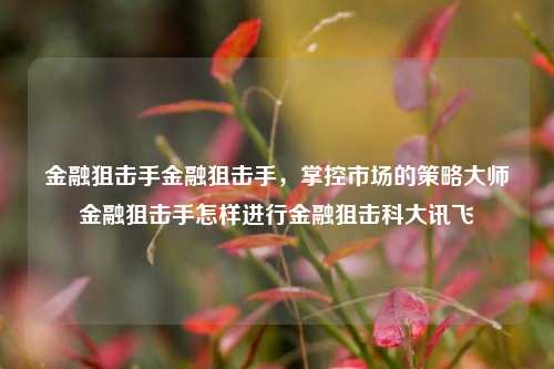 金融狙击手金融狙击手，掌控市场的策略大师金融狙击手怎样进行金融狙击科大讯飞