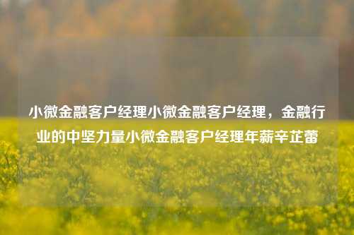 小微金融客户经理小微金融客户经理，金融行业的中坚力量小微金融客户经理年薪辛芷蕾