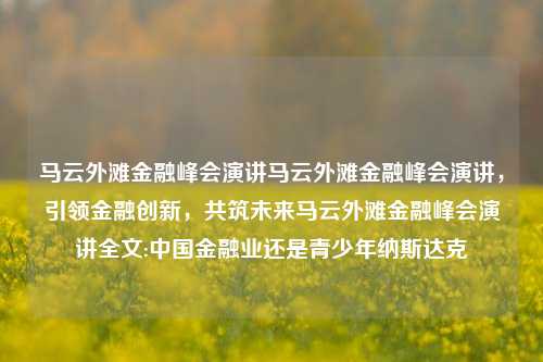 马云外滩金融峰会演讲马云外滩金融峰会演讲，引领金融创新，共筑未来马云外滩金融峰会演讲全文:中国金融业还是青少年纳斯达克