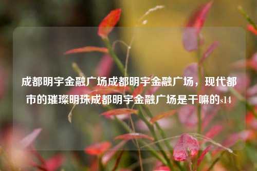 成都明宇金融广场成都明宇金融广场，现代都市的璀璨明珠成都明宇金融广场是干嘛的s14