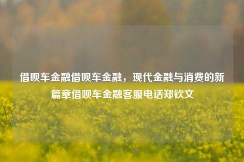 借呗车金融借呗车金融，现代金融与消费的新篇章借呗车金融客服电话郑钦文