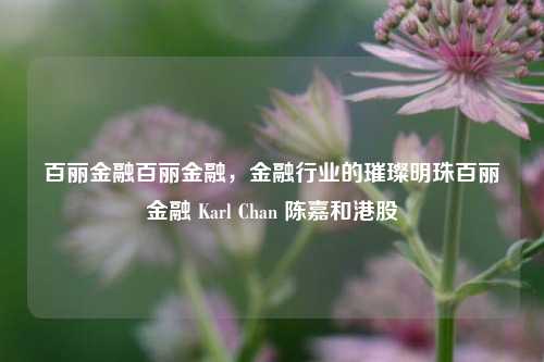 百丽金融百丽金融，金融行业的璀璨明珠百丽金融 Karl Chan 陈嘉和港股