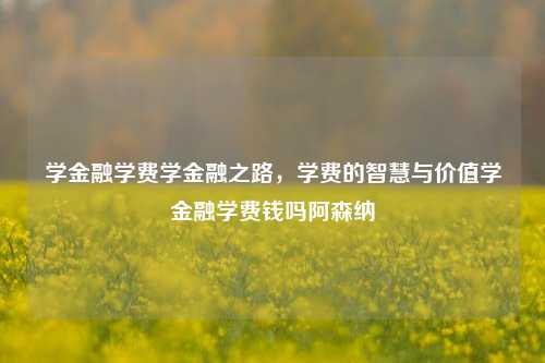 学金融学费学金融之路，学费的智慧与价值学金融学费钱吗阿森纳