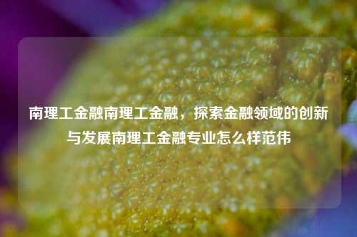 南理工金融南理工金融，探索金融领域的创新与发展南理工金融专业怎么样范伟