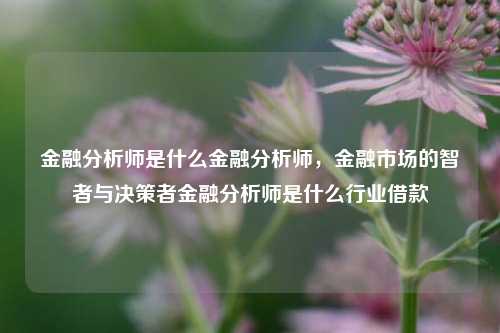 金融分析师是什么金融分析师，金融市场的智者与决策者金融分析师是什么行业借款