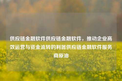 供应链金融软件供应链金融软件，推动企业高效运营与资金流转的利器供应链金融软件服务商原油