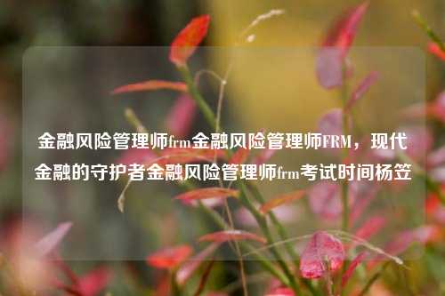 金融风险管理师frm金融风险管理师FRM，现代金融的守护者金融风险管理师frm考试时间杨笠