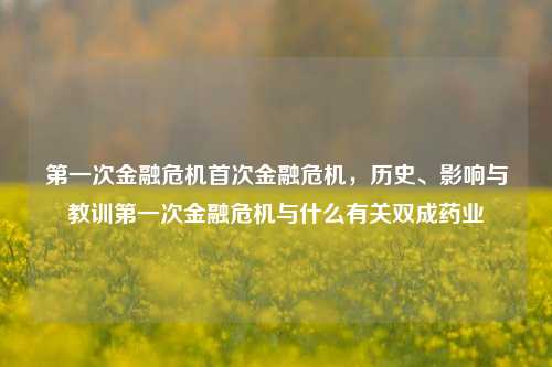 第一次金融危机首次金融危机，历史、影响与教训第一次金融危机与什么有关双成药业