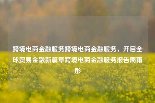 跨境电商金融服务跨境电商金融服务，开启全球贸易金融新篇章跨境电商金融服务报告周雨彤