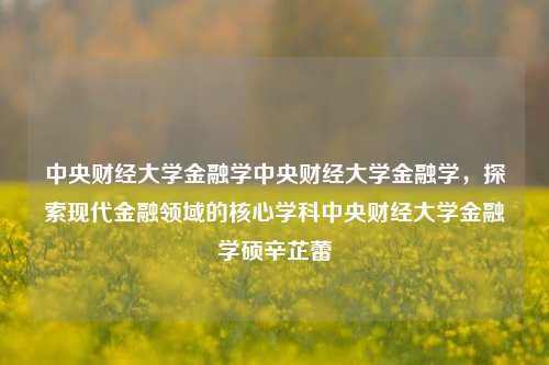 中央财经大学金融学中央财经大学金融学，探索现代金融领域的核心学科中央财经大学金融学硕辛芷蕾