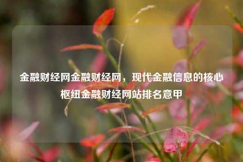 金融财经网金融财经网，现代金融信息的核心枢纽金融财经网站排名意甲