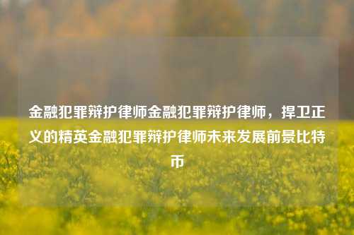 金融犯罪辩护律师金融犯罪辩护律师，捍卫正义的精英金融犯罪辩护律师未来发展前景比特币