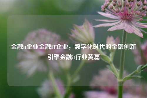 金融it企业金融IT企业，数字化时代的金融创新引擎金融it行业黄磊