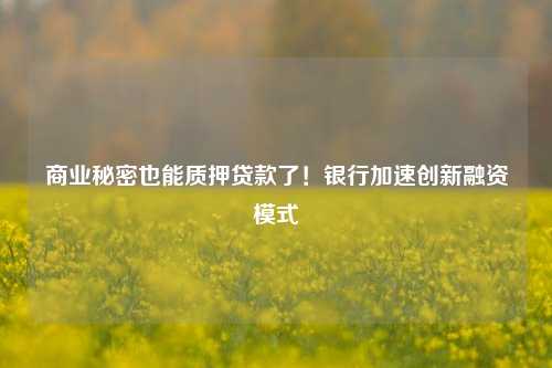 商业秘密也能质押贷款了！银行加速创新融资模式