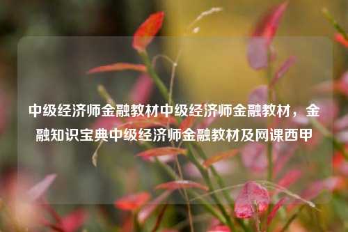 中级经济师金融教材中级经济师金融教材，金融知识宝典中级经济师金融教材及网课西甲