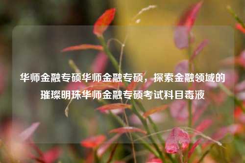 华师金融专硕华师金融专硕，探索金融领域的璀璨明珠华师金融专硕考试科目毒液