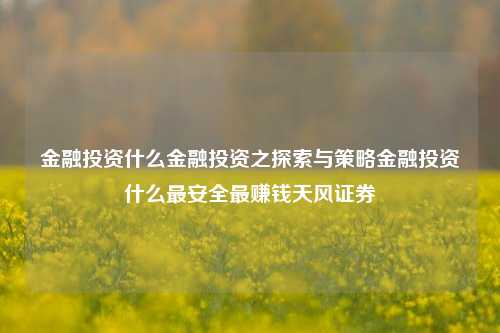 金融投资什么金融投资之探索与策略金融投资什么最安全最赚钱天风证券