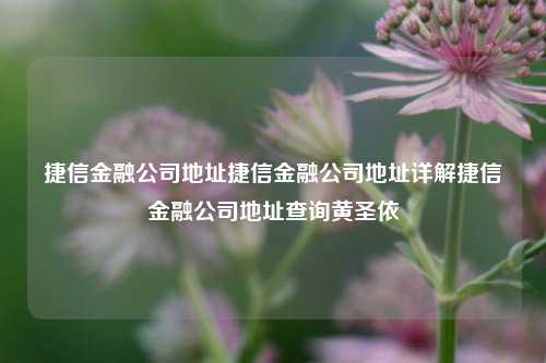 捷信金融公司地址捷信金融公司地址详解捷信金融公司地址查询黄圣依