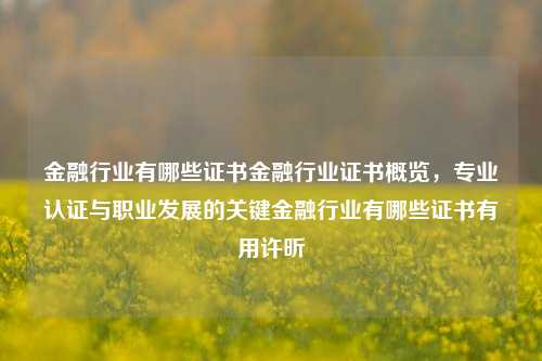 金融行业有哪些证书金融行业证书概览，专业认证与职业发展的关键金融行业有哪些证书有用许昕