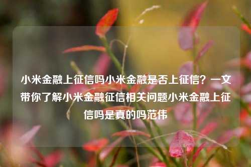 小米金融上征信吗小米金融是否上征信？一文带你了解小米金融征信相关问题小米金融上征信吗是真的吗范伟