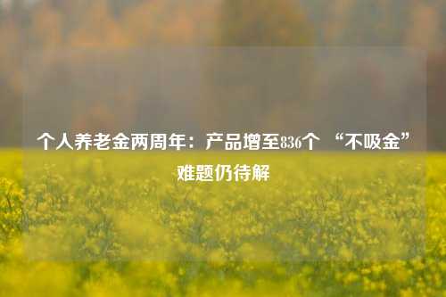 个人养老金两周年：产品增至836个 “不吸金”难题仍待解