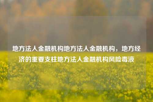 地方法人金融机构地方法人金融机构，地方经济的重要支柱地方法人金融机构风险毒液